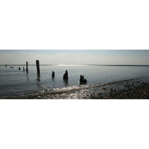 Beach Study I Black Modern Wood Framed Art Print with Double Matting by Bay, Noah
