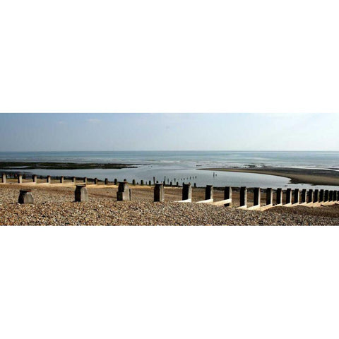 Beach Study IV Gold Ornate Wood Framed Art Print with Double Matting by Bay, Noah