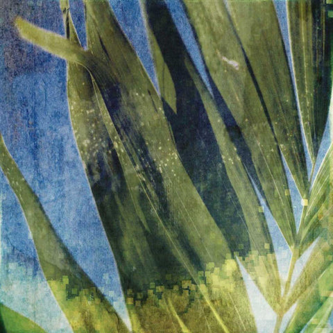 Tropical Memory I White Modern Wood Framed Art Print with Double Matting by Robinson, Emily