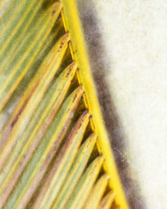 Image Only