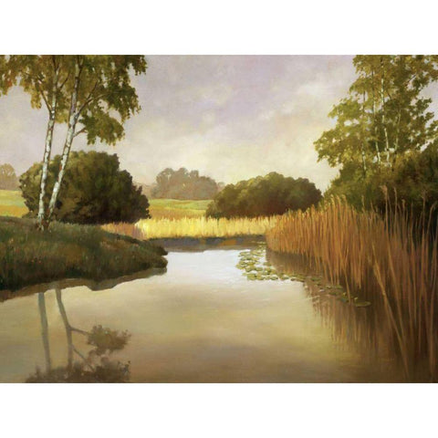Reeds, Birches and Water I White Modern Wood Framed Art Print by Reynolds, Graham