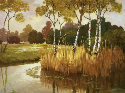 Reeds, Birches and Water II Black Ornate Wood Framed Art Print with Double Matting by Reynolds, Graham