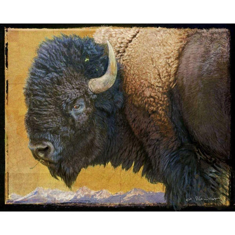 Bison Portrait III Black Modern Wood Framed Art Print by Vest, Chris