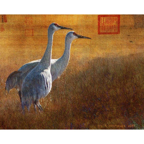 Walking Cranes Gold Ornate Wood Framed Art Print with Double Matting by Vest, Chris