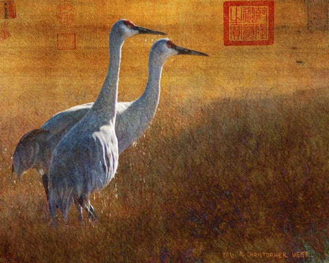 Walking Cranes White Modern Wood Framed Art Print with Double Matting by Vest, Chris