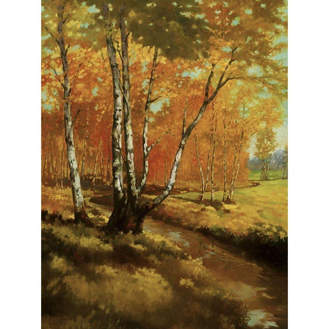 Woodland Stream I Black Modern Wood Framed Art Print with Double Matting by Reynolds, Graham