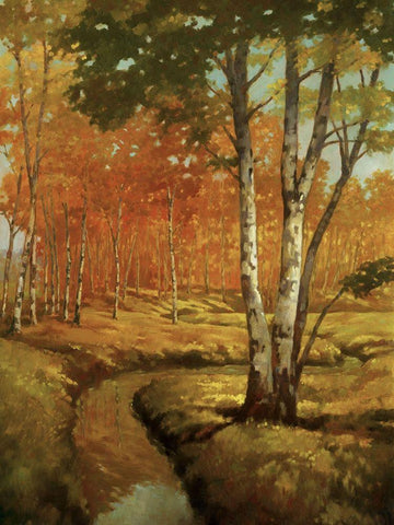 Woodland Stream II White Modern Wood Framed Art Print with Double Matting by Reynolds, Graham