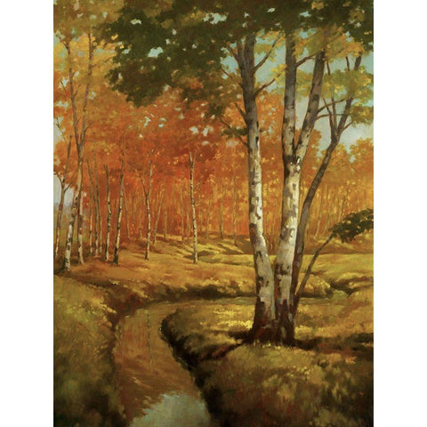 Woodland Stream II Black Modern Wood Framed Art Print with Double Matting by Reynolds, Graham