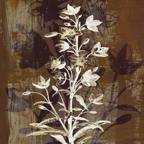 Prairie Mix V Black Modern Wood Framed Art Print by Butler, John