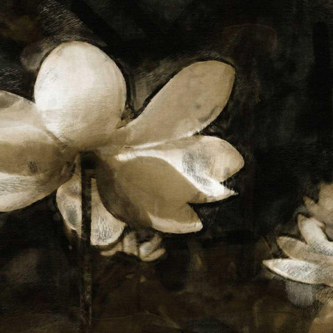 Bronze Lily II Black Modern Wood Framed Art Print with Double Matting by Bay, Noah