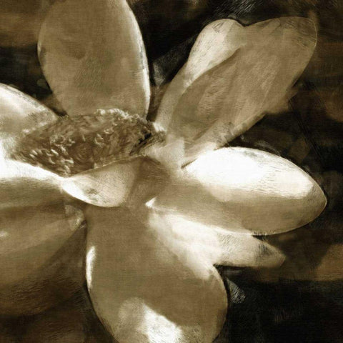 Bronze Lily III White Modern Wood Framed Art Print with Double Matting by Bay, Noah