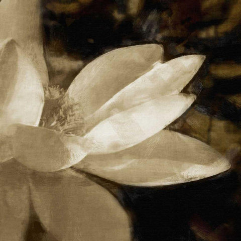 Bronze Lily IV White Modern Wood Framed Art Print with Double Matting by Bay, Noah