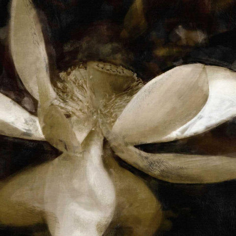 Bronze Lily VI Black Modern Wood Framed Art Print by Bay, Noah