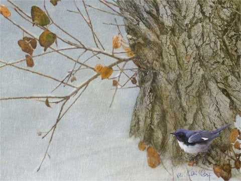 Late Snow Warbler Black Ornate Wood Framed Art Print with Double Matting by Vest, Chris