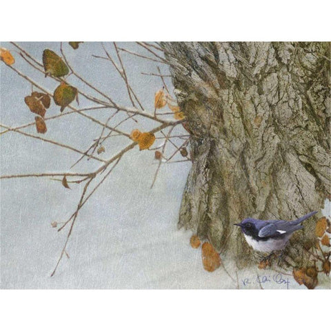 Late Snow Warbler Black Modern Wood Framed Art Print by Vest, Chris