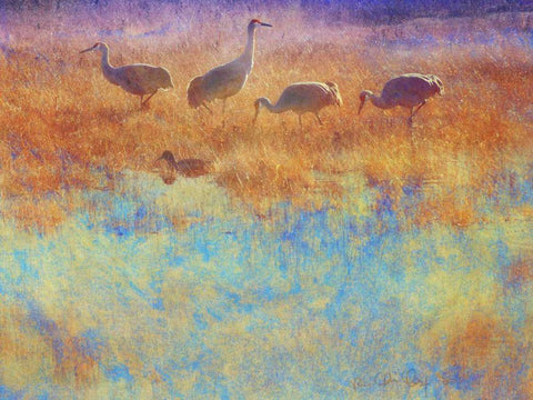 Cranes in Soft Mist White Modern Wood Framed Art Print with Double Matting by Vest, Chris