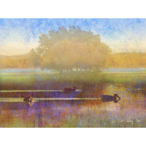 Ducks in Soft Mist Black Modern Wood Framed Art Print with Double Matting by Vest, Chris