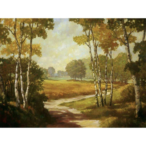 Country Walk I White Modern Wood Framed Art Print by Reynolds, Graham