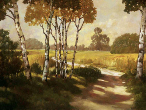 Country Walk II White Modern Wood Framed Art Print with Double Matting by Reynolds, Graham