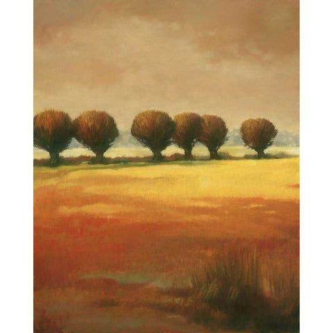 Pollard Willow I Black Modern Wood Framed Art Print by Reynolds, Graham
