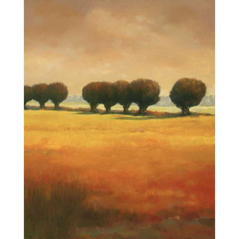 Pollard Willow II Black Modern Wood Framed Art Print by Reynolds, Graham