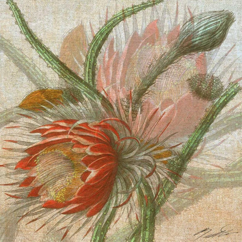 Desert Botanicals II Gold Ornate Wood Framed Art Print with Double Matting by Butler, John