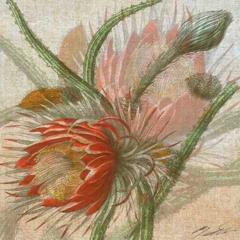 Desert Botanicals II White Modern Wood Framed Art Print with Double Matting by Butler, John