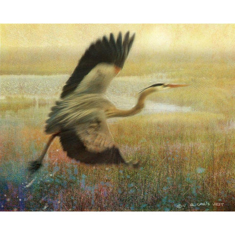 Foggy Heron I Gold Ornate Wood Framed Art Print with Double Matting by Vest, Chris