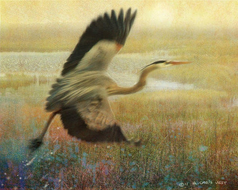 Foggy Heron I White Modern Wood Framed Art Print with Double Matting by Vest, Chris