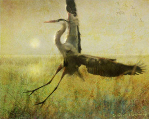 Foggy Heron II White Modern Wood Framed Art Print with Double Matting by Vest, Chris