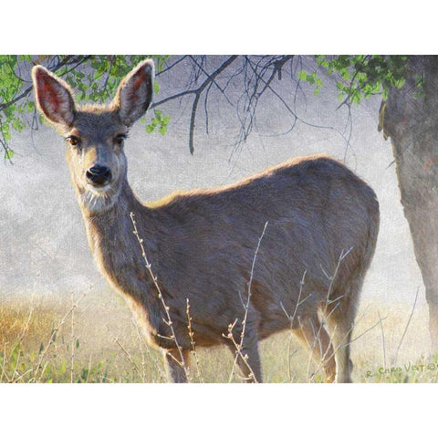 Spring Doe Gold Ornate Wood Framed Art Print with Double Matting by Vest, Chris