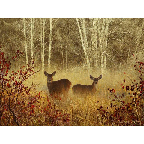 Foggy Deer White Modern Wood Framed Art Print by Vest, Chris