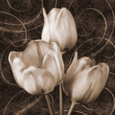 Tulip and Swirls II Gold Ornate Wood Framed Art Print with Double Matting by Zalewski, Christine