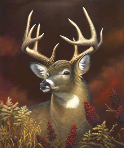 Deer Portrait White Modern Wood Framed Art Print with Double Matting by Stans, Leo