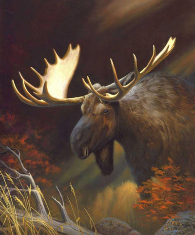 Moose Portrait White Modern Wood Framed Art Print with Double Matting by Stans, Leo