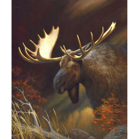 Moose Portrait Black Modern Wood Framed Art Print by Stans, Leo