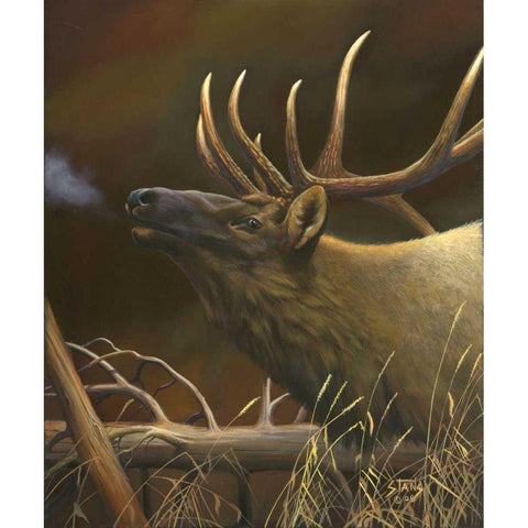 Elk Portrait I Black Modern Wood Framed Art Print by Stans, Leo