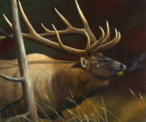 Elk Portrait II Black Ornate Wood Framed Art Print with Double Matting by Stans, Leo