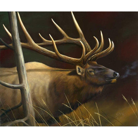 Elk Portrait II White Modern Wood Framed Art Print by Stans, Leo