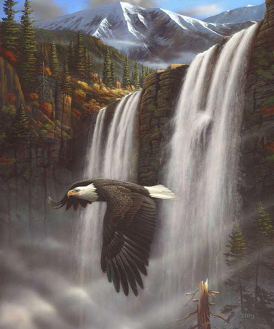 Eagle Portrait Black Ornate Wood Framed Art Print with Double Matting by Stans, Leo