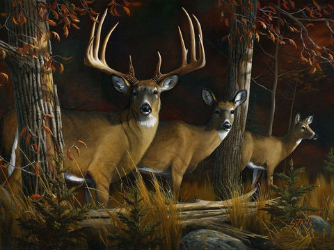 The Legend White Modern Wood Framed Art Print with Double Matting by Stans, Leo