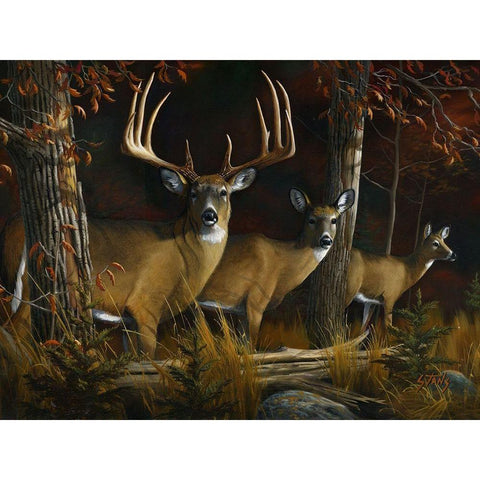 The Legend Black Modern Wood Framed Art Print by Stans, Leo