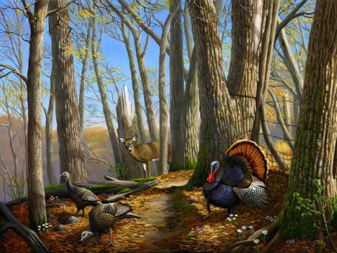 Along the Fence White Modern Wood Framed Art Print with Double Matting by Stans, Leo