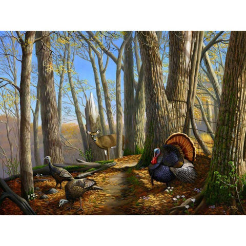 Along the Fence White Modern Wood Framed Art Print by Stans, Leo