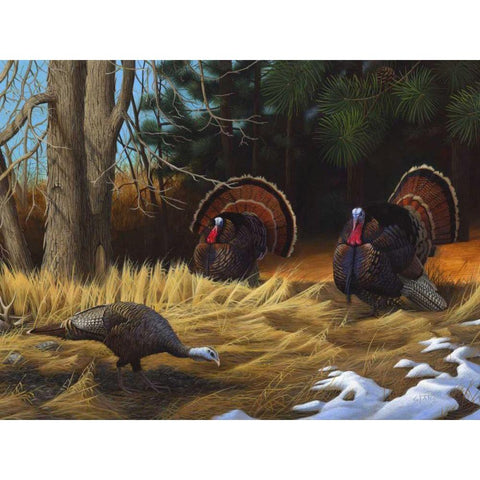 Turkies White Modern Wood Framed Art Print by Stans, Leo