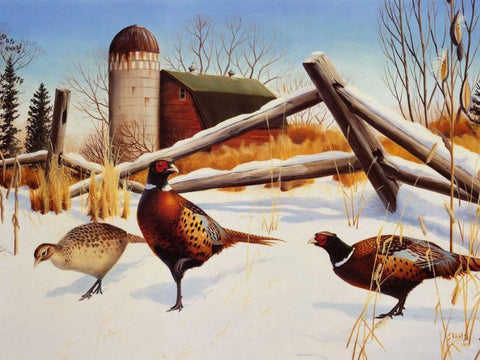 Pheasants II White Modern Wood Framed Art Print with Double Matting by Stans, Leo