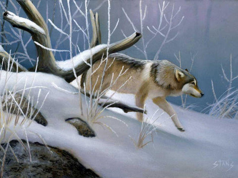 Lone Wolf White Modern Wood Framed Art Print with Double Matting by Stans, Leo