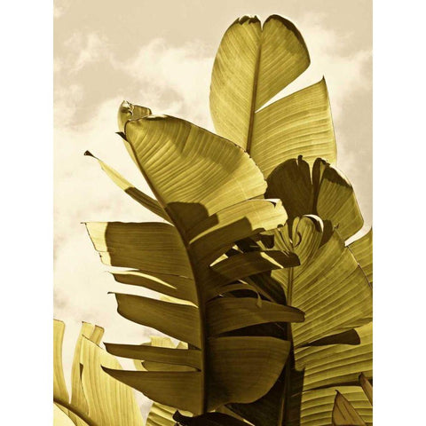 Palm Fronds IV White Modern Wood Framed Art Print by Perry, Rachel