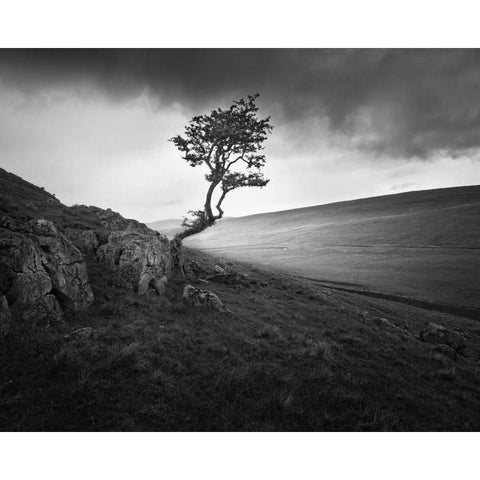 Outcrop White Modern Wood Framed Art Print by Henson, Martin