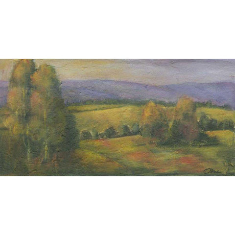 El Dorado Lake I Black Modern Wood Framed Art Print with Double Matting by Combs, Joyce